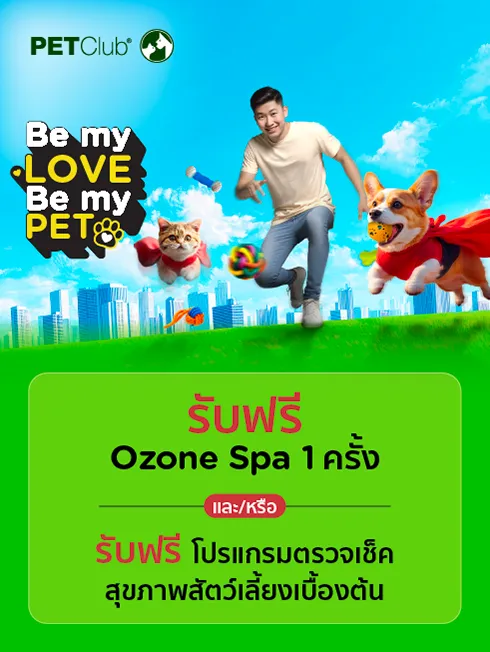 โปรโมชั่นพิเศษ ที่ เพ็ทคลับ